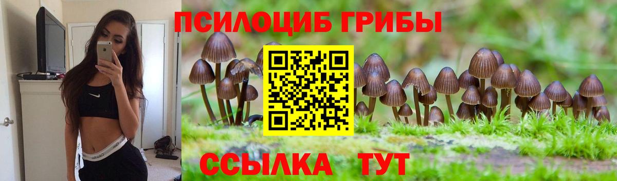 Галлюциногенные грибы прущие грибы Славянск-на-Кубани